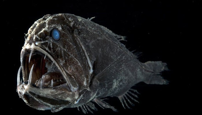 БОГ И ПРИРОДА