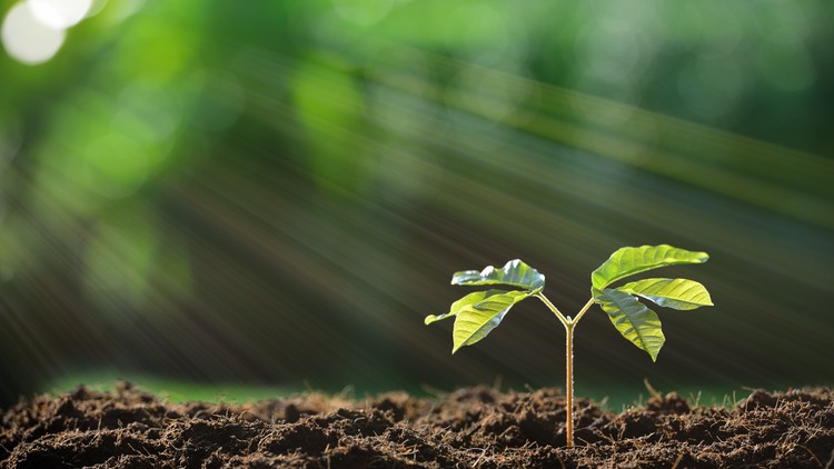 ВЕРА ВСЕГДА — ВЕРА В ЧУШЬ