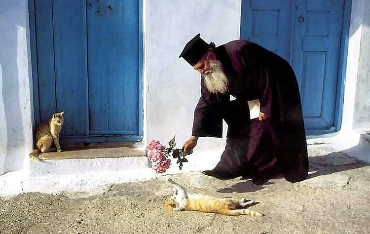 7 урок от ПА: ХРИСТИАНСТВО НА ПРАКТИКЕ (Наше жительство…)