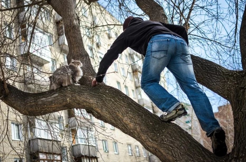 ДОБРЫЕ ДЕЛА ХРИСТИАН