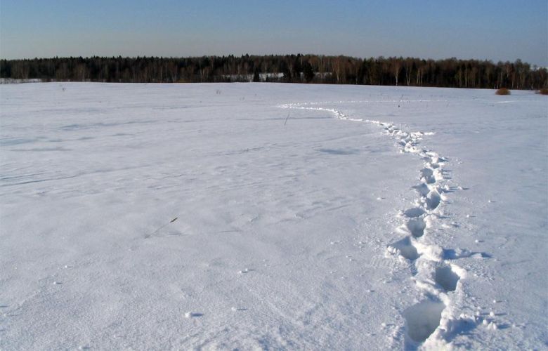 ТРИДЦАТЬ ЛЕТ СПУСТЯ