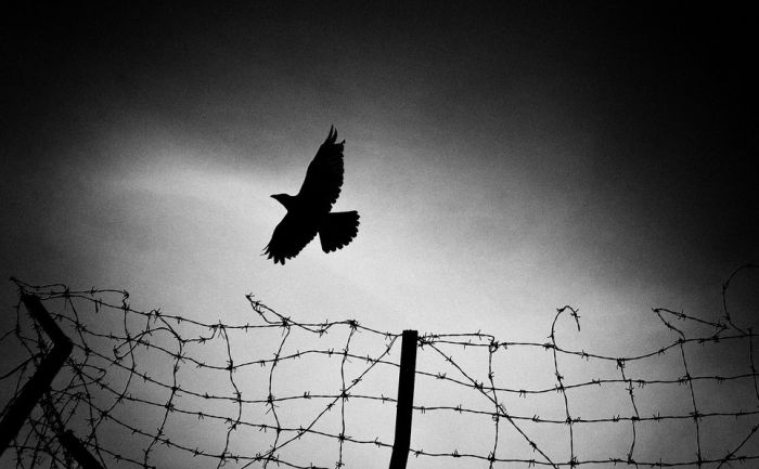 БОГ НЕ ТАЩИТ НАС В РАЙ НАСИЛЬНО