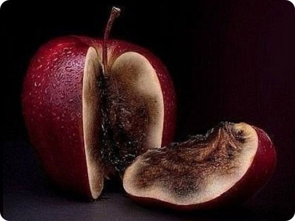 КОГДА ГОВОРИШЬ О БОГЕ, НЕ ИГРАЙ В ТЕАТР
